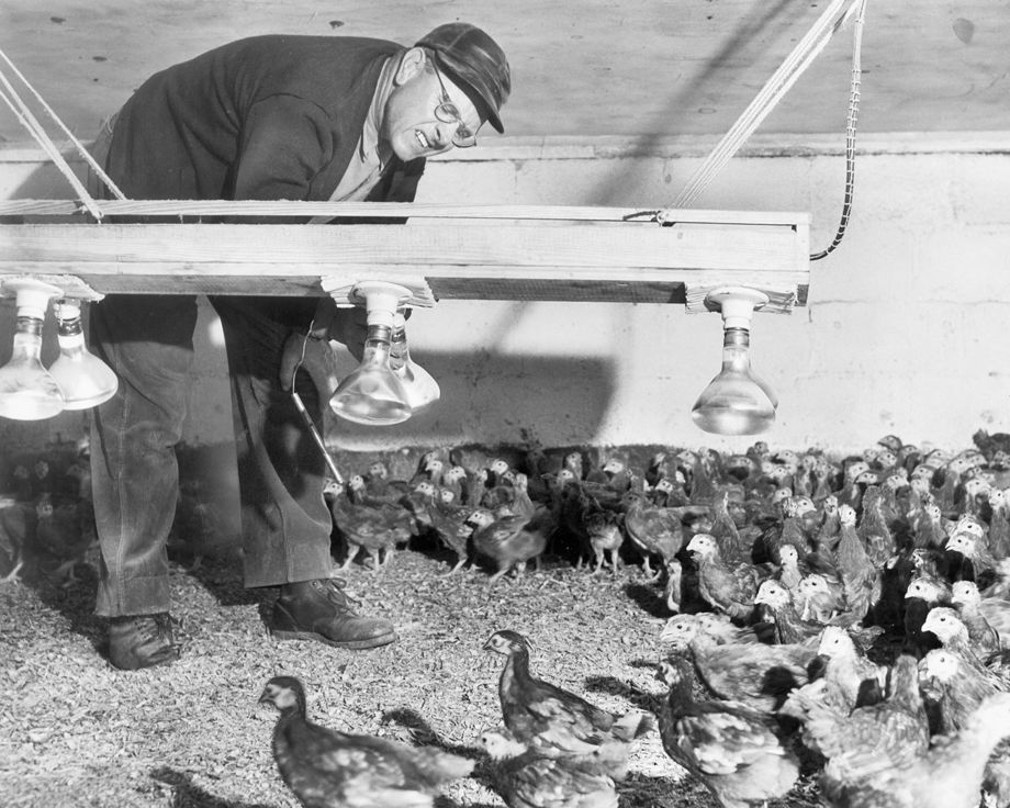 Richmond in the 50s